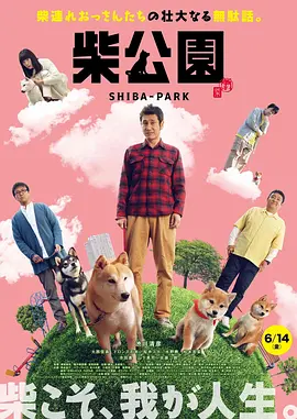 国产精品视频福利一区二区